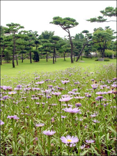 수목원 풍경도 가을을 재촉합니다. 